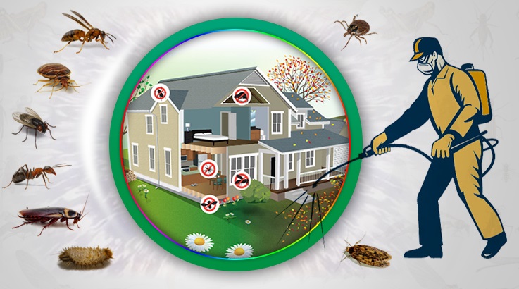 Mahmudiye Böcek İlaçlama